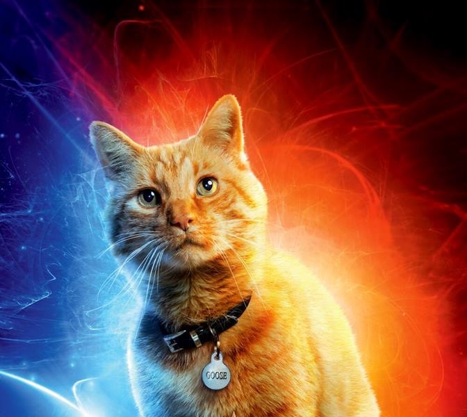 Gatto - Captain Marvel - Film Marvel 2019 - REgia  Anna Boden e Ryan Fleck - Trama - personaggi - recensione