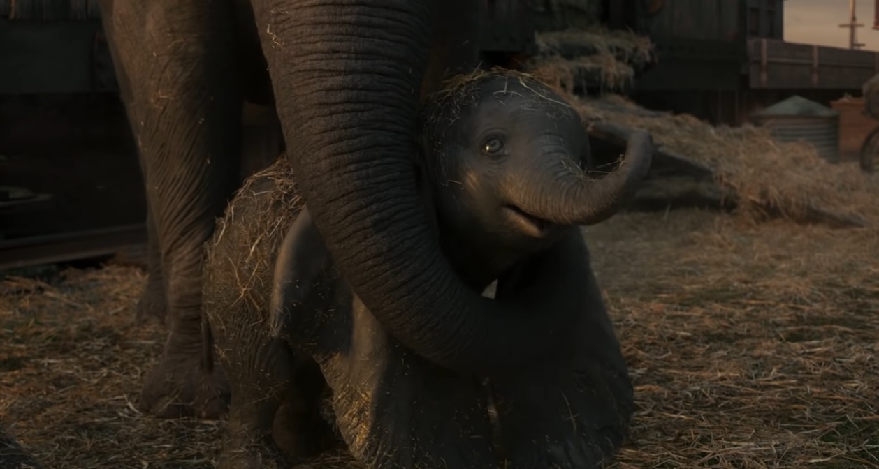 Dumbo 2019 - Dumbo Disney - Film Disney - Film Famiglia - marzo 2019 - elefante Dumbo Tim Burton