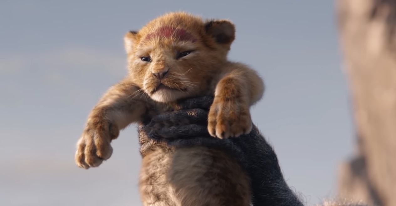 Il re leone film Disney 2019 - Trailer il re leone 2019 - film il re leone 2019 - the lion link 2019