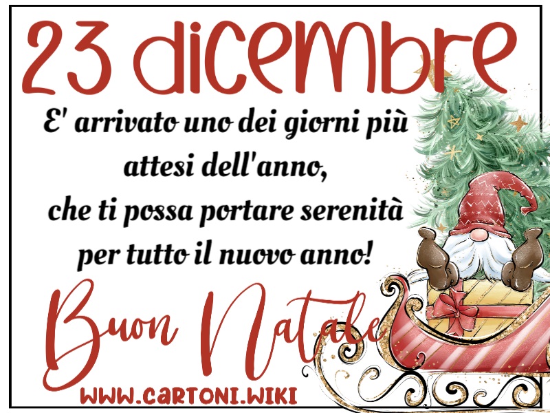 Buongiorno e buon 23 dicembre