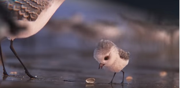 Piper (2016) - Corti Pixar