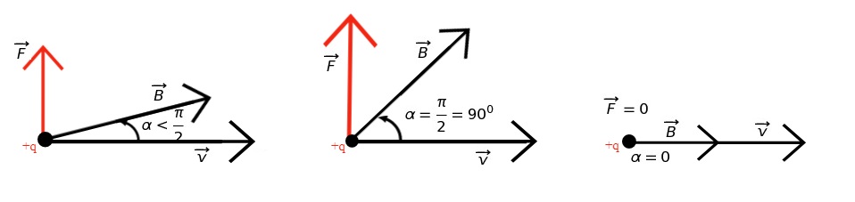 Fisica Forza di Lorentz intensit della forza in base alla variazione dellangolo alfa tra velocit e campo magnetico