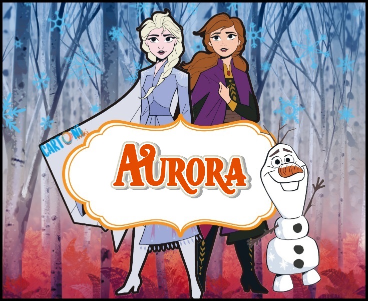 Aurora etichetta quaderni Frozen 2