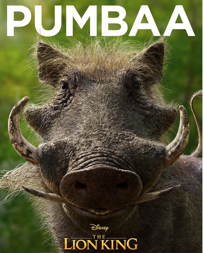 Il re leone film Disney 2019 - personaggi Pumbaa