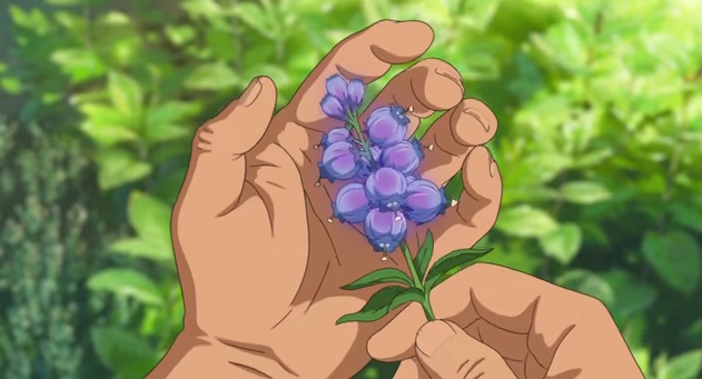 Mary e il fiore della strega film di animazione 2017 cartone animato giapponese anime