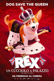 Rex un cucciolo a palazzo poster italiano del film