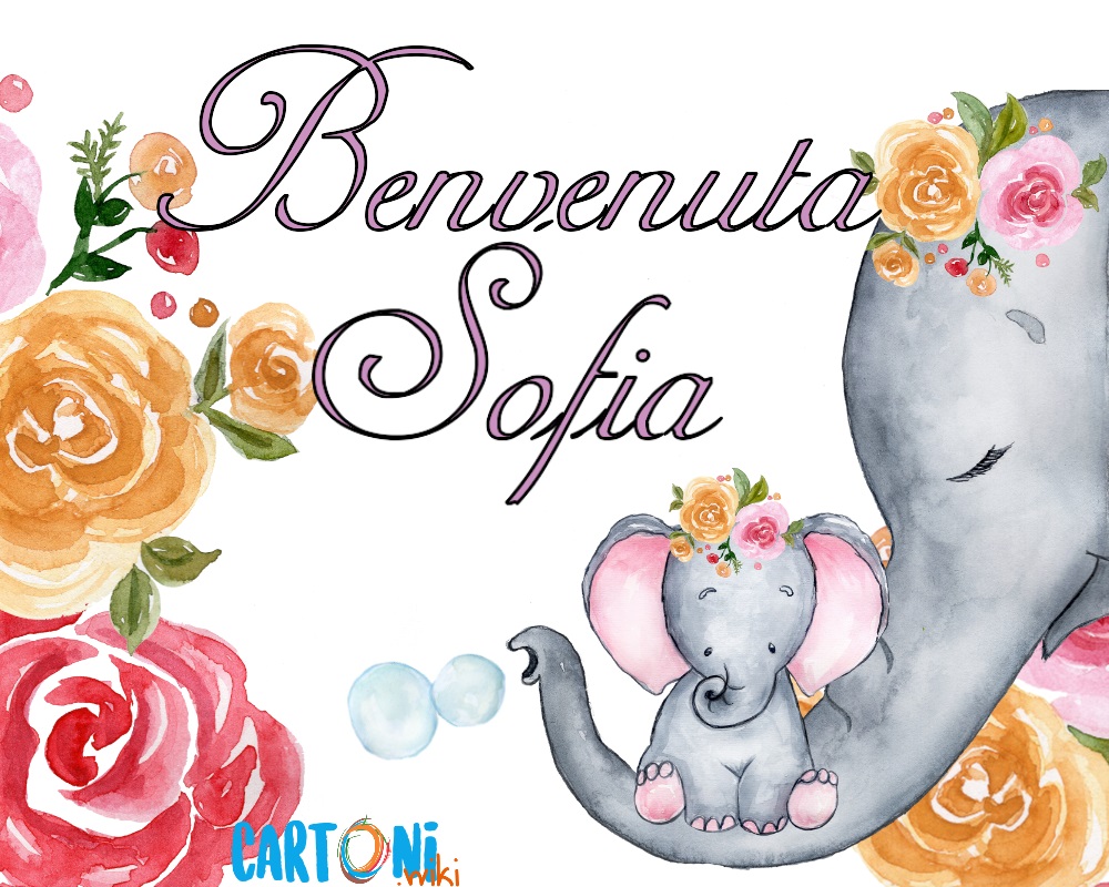 Benvenuta Sofia Annuncio nascita bambina