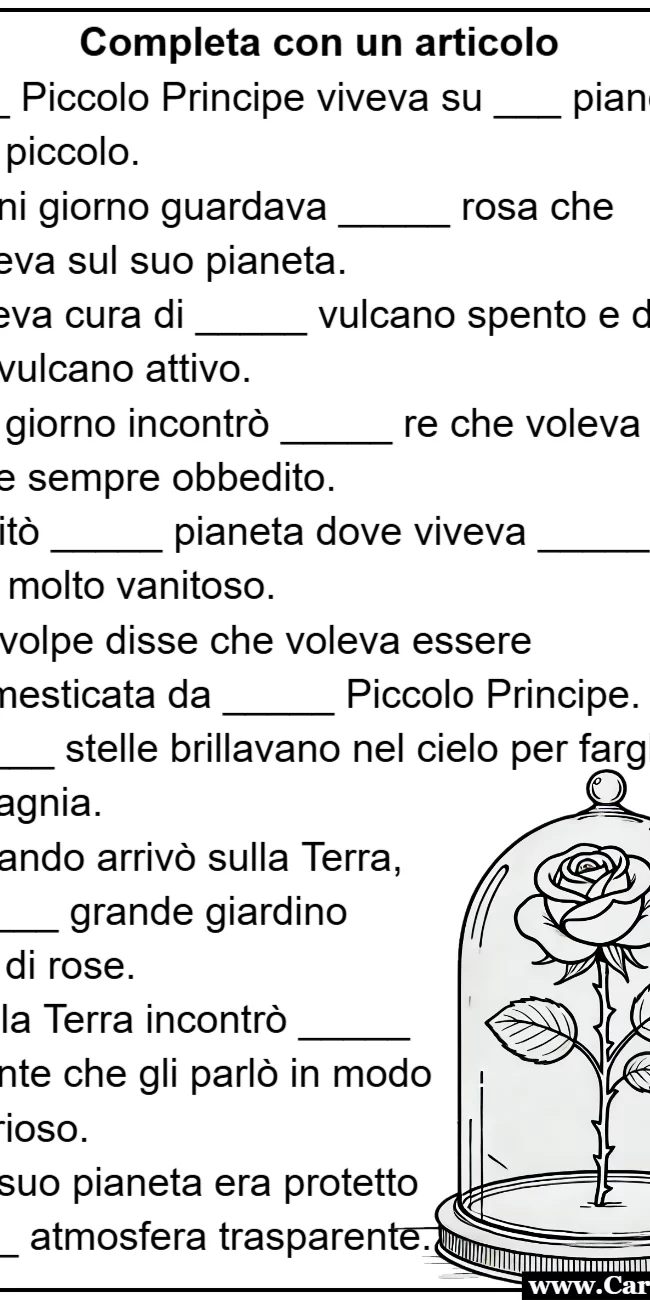 Esercizi sugli Articoli basati sul libro Il Piccolo Principe - Una Scheda Didattica da Stampare Gratis